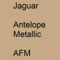 Preview: Jaguar, Antelope Metallic, AFM.